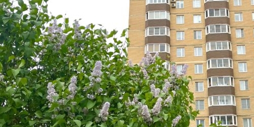 3-комн квартира улица Доблести, 14к1