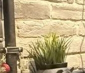 Продать Квартиры вторичка Опалиха мкр, улица Пришвина, 2   