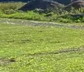 Продать Дачи, коттеджи, загородные дома Фаворит кп, улица Генеральская   