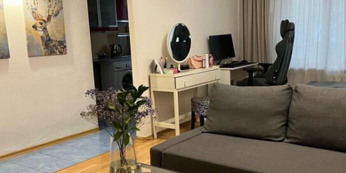 1-комн квартира улица Павла Андреева,  д. 7