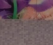 Сдать в аренду Квартиры вторичка Заневский проспект, 42   