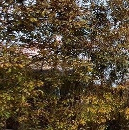 Продажа земли НСТ Металлист дп, 8-я линия Продажа земли НСТ Металлист дп, 8-я линия