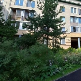 Аренда 1-комн квартиры на вторичном рынке Пушкин, Петербургское шоссе, 8к1 Аренда 1-комн квартиры на вторичном рынке Пушкин, Петербургское шоссе, 8к1