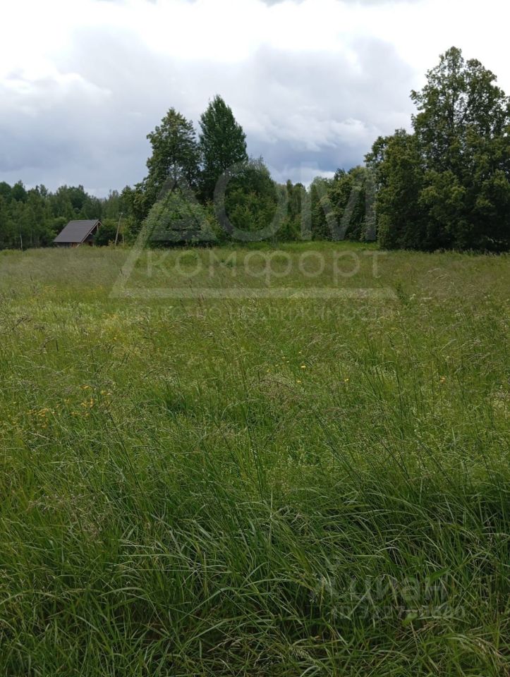 Продажа земли д. Хвойное, 174