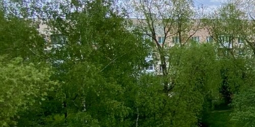 1-комн квартира Ломоносов, улица Жоры Антоненко, 12