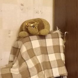 Продажа 1-комн квартиры на вторичном рынке Серпухов, улица Ворошилова, 165