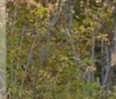 Сдать в аренду Квартиры вторичка Большой Саввинский переулок, 2К1   