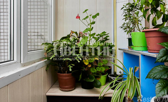 Продажа 2-комн квартиры на вторичном рынке Выборгское шоссе,  д. 31