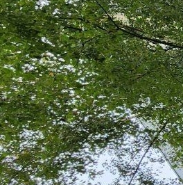 Продажа 2-комн квартиры на вторичном рынке Кириши, Волховская набережная, 36