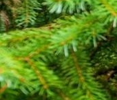 Продать Дачи, коттеджи, загородные дома Малое Симагино кп, улица Тихая  20 