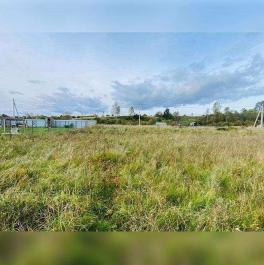 Продажа земли деревня Аргуново