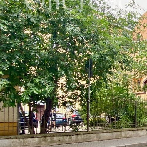 3-комн квартира улица Большая Зеленина, 6