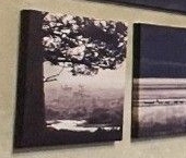 Сдать в аренду Квартиры вторичка Братиславская улица, 16К1   