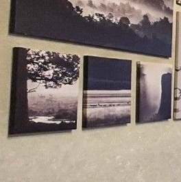 Аренда 1-комн квартиры на вторичном рынке Братиславская улица, 16К1 Аренда 1-комн квартиры на вторичном рынке Братиславская улица, 16К1