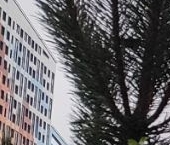 Продать Квартиры вторичка Октябрьская набережная, 44   