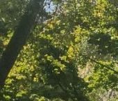 Продать Квартиры вторичка улица Маршала Неделина, 30К4   