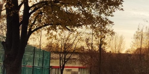 1-комн квартира бульвар Маршала Рокоссовского, 6к1