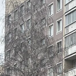 Продажа 2-комн квартиры на вторичном рынке проспект Авиаконструкторов, 13 Продажа 2-комн квартиры на вторичном рынке проспект Авиаконструкторов, 13