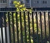 Сдать в аренду Квартиры вторичка Рублевское шоссе, 101   