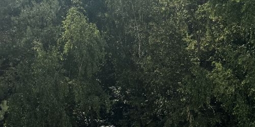 2-комн квартира Рублевское шоссе, 111