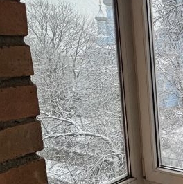 Аренда 1-комн квартиры на вторичном рынке Кронштадт, Владимирская улица, 47