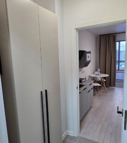 Студия пос. Шушары, проспект Старорусский, 5к2