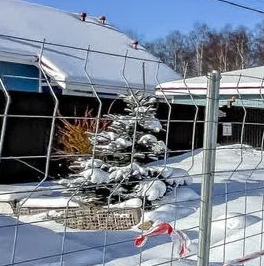 Продажа земли пос. Парголово, Вокзальное шоссе