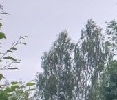 Продать Земельные участки, земля Славянка садовое товарищество, Березовка СНТ, аллея 5-я   