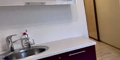 1-комн квартира улица Савушкина, 145