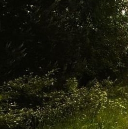 Продажа земли Самсон СНТ, 98 Продажа земли Самсон СНТ, 98