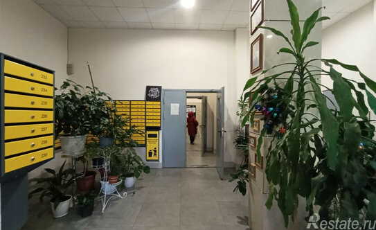 Продажа 1-комн квартиры на вторичном рынке Просвещения пр-кт