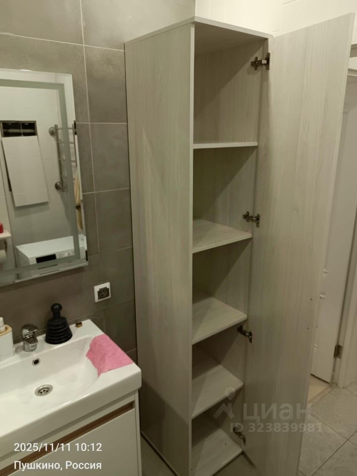 Аренда 1-комн квартиры на вторичном рынке Пушкино, улица Просвещения, 12к2