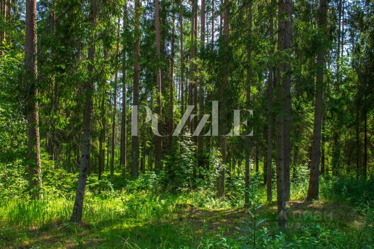 Продажа земли Рощино пгт, КП Еловая усадьба, проезд Усадебный, 42