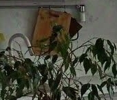 Продать Квартиры вторичка Каширское шоссе, 65К1   