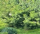 Продать Квартиры вторичка Электрогорск, переулок Комсомольский, 3   