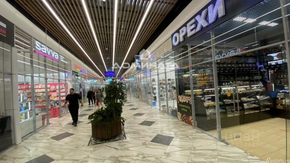 Аренда ПСН Дунайский пр-кт,  д. 27 к1