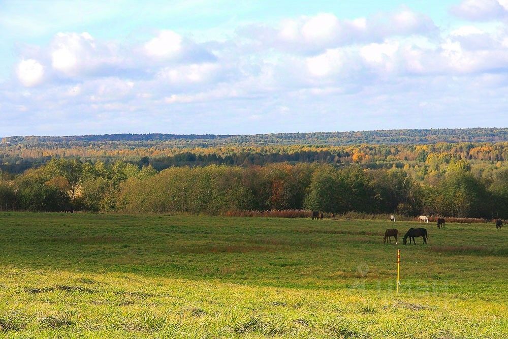 Продажа земли Царский склон кп, Ропшинская долина кп