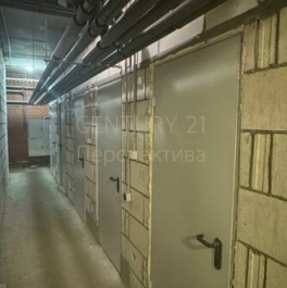 Продажа 1-комн квартиры на вторичном рынке Новое Павлино, улица Романычева,  д. 3