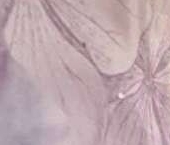 Продать Квартиры вторичка улица Грекова, 4   