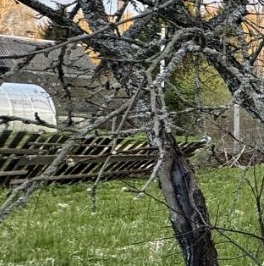 Продажа дома Кобрино садоводческий массив, Кобринское-4 СНТ,  д. 108