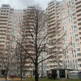 Продажа 1-комн квартиры на вторичном рынке Подольск, Юбилейная улица,  д. 7А