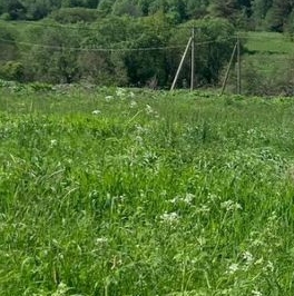 Продажа земли д. Усадище, улица Береговая, 6