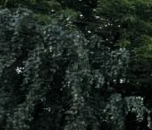 Продать Квартиры вторичка Кантемировская улица, 22К1   