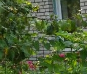 Продать Дачи, коттеджи, загородные дома Луга, Нижегородский проезд, 8   