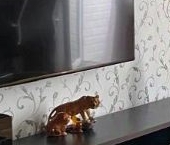 Продать Квартиры вторичка пос. Шушары, Пушкинская улица, 36   