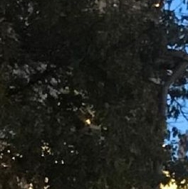 Продажа 3-комн квартиры на вторичном рынке Ленинский проспект, 37 Продажа 3-комн квартиры на вторичном рынке Ленинский проспект, 37