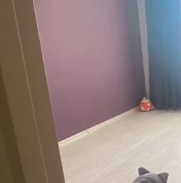 Продажа 1-комн квартиры на вторичном рынке Сертолово, улица Любимая, 3