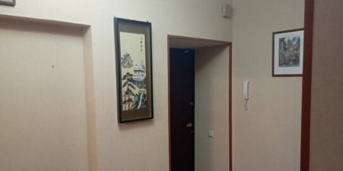 2-комн квартира Аптекарский переулок,  д. 10/1
