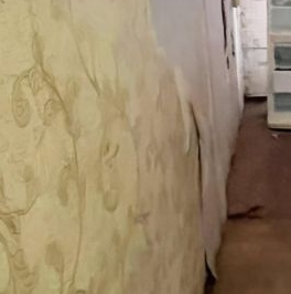 Аренда 3-комн квартиры на вторичном рынке Мытищи г, Силикатная ул, д. 37В Аренда 3-комн квартиры на вторичном рынке Мытищи г, Силикатная ул, д. 37В