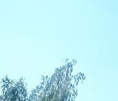 Продать Квартиры вторичка с. Конобеево, улица Новые дома, 17   